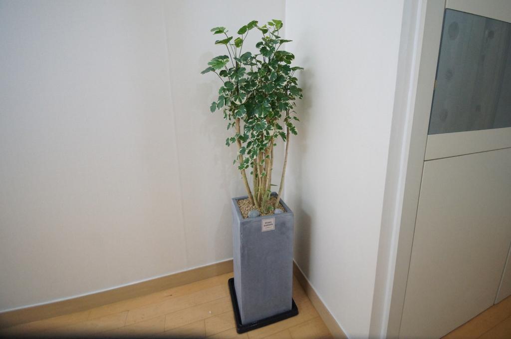 Enjoy Budget Apartment In Gangnam 2 Seoel Buitenkant foto